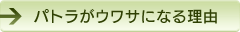 パトラがウワサになる理由