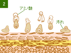 肌から汚れを浮かせていきます